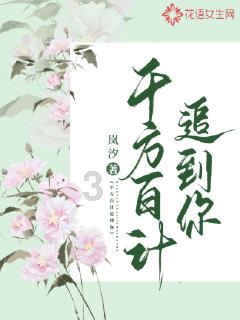 创作猫