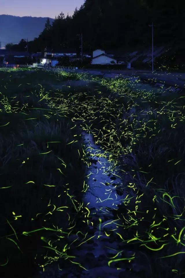 天津先行者队败走京城