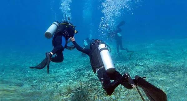 关于上海畅兴贸易有限公司、上海鑫圭晶光电科技有限公司违反海关监管规定行政处罚决定书
