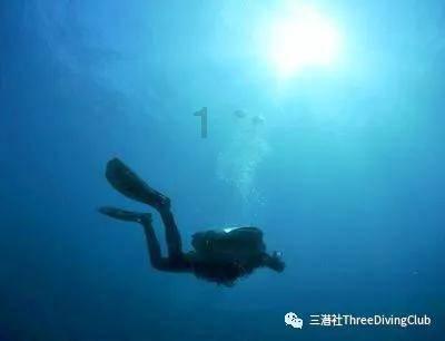 《星期六》大爆原因：耿直的杨紫，自觉的丁程鑫