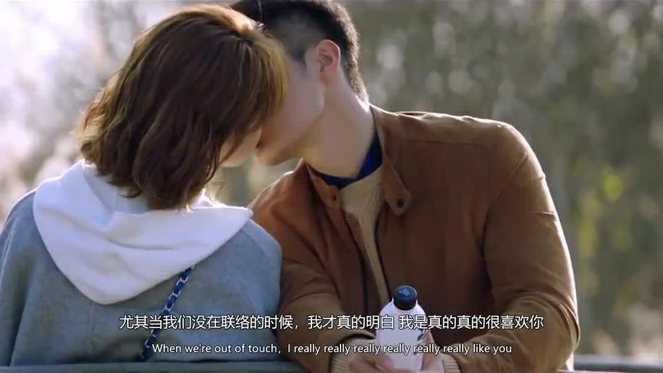 哪种鸟类可以逾越珠穆朗玛峰-解答您的疑惑