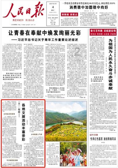 疯狂的小偷
