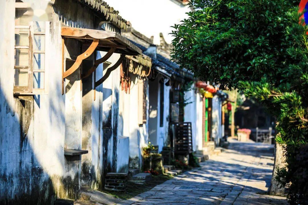 8000多元买的宠物鸭散步走失被过路人抓走，险些成为老鸭煲