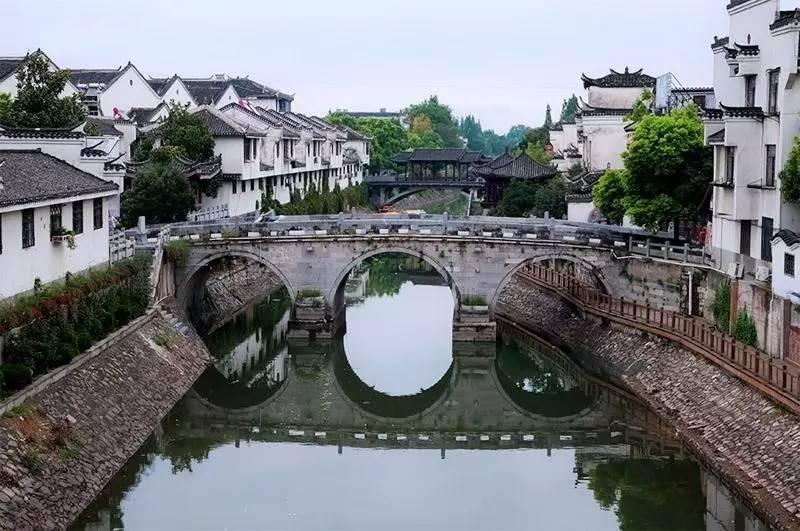 卡通考拉救援
